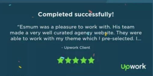 Upwork Client 2